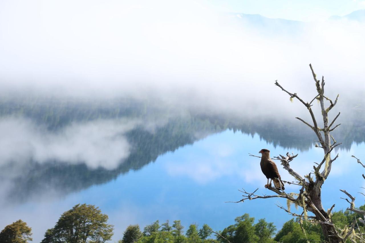 Hermoso Eco Lodge San Martín de los Andes Екстериор снимка