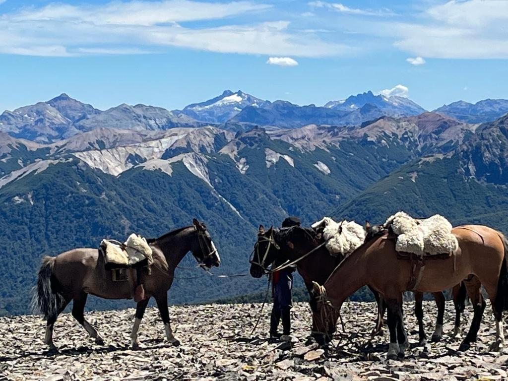 Hermoso Eco Lodge San Martín de los Andes Екстериор снимка